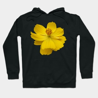 yellow flower, flowers, nature, blooms, garden Hoodie